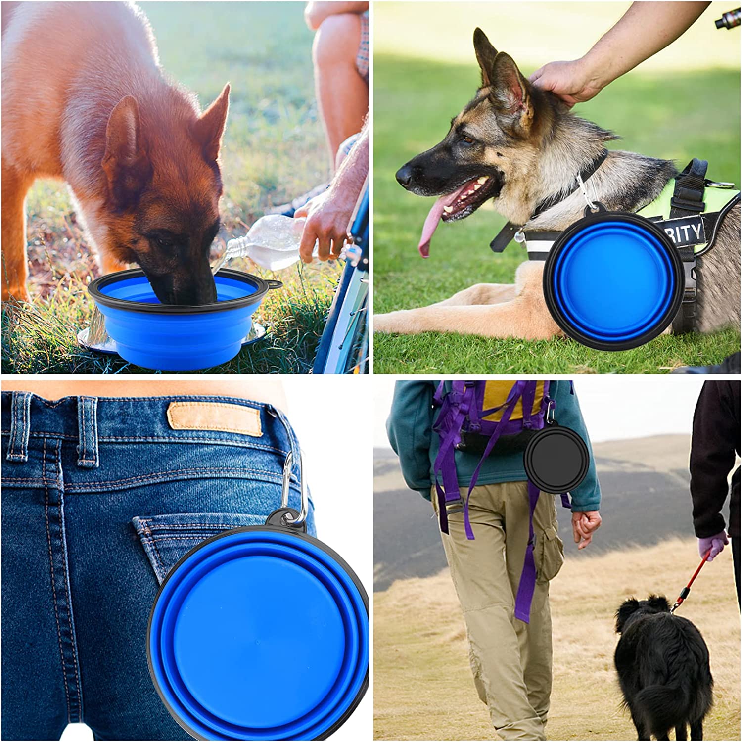 Pop-Up Pet Food & Water Bowl