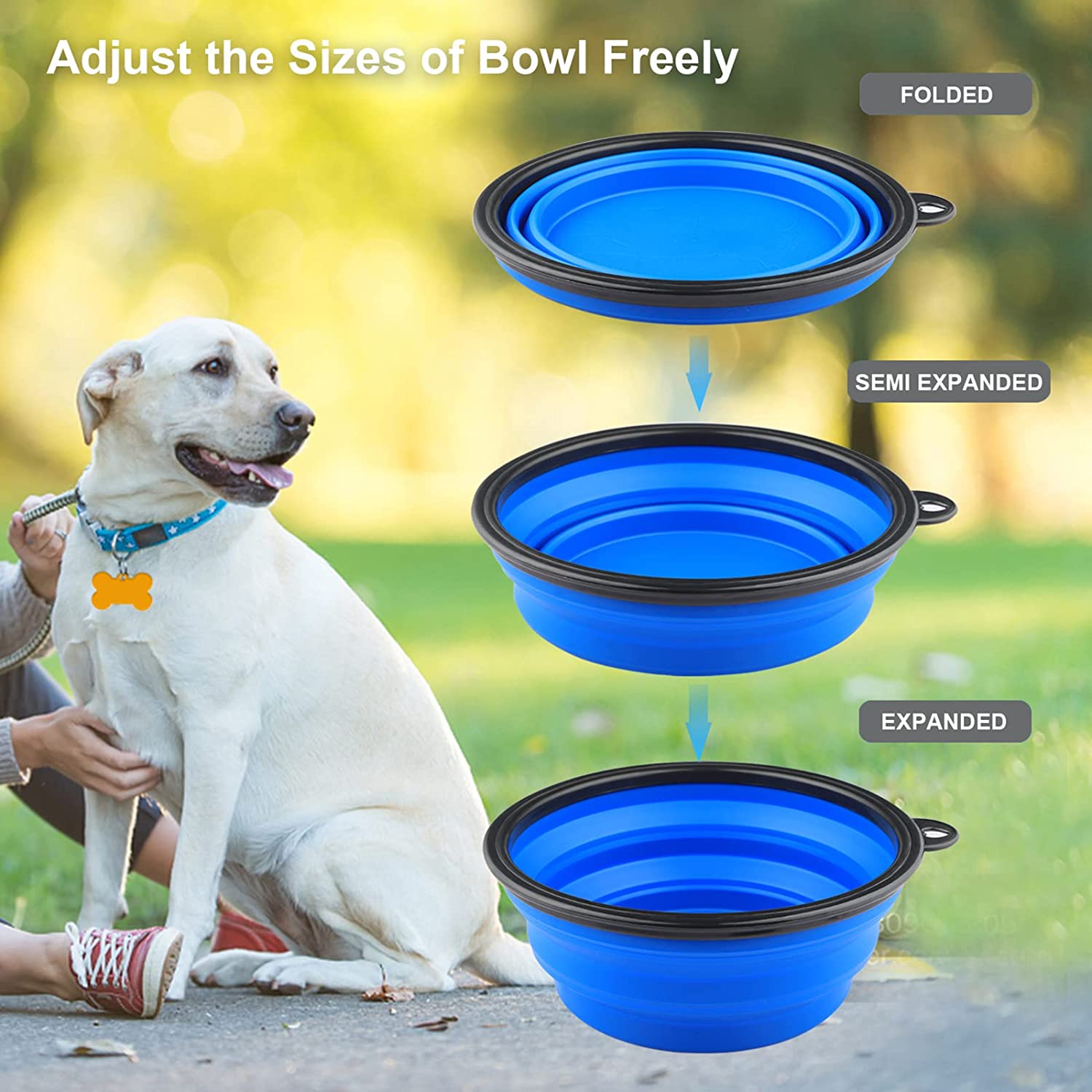 Pop-Up Pet Food & Water Bowl